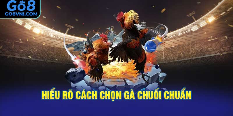 Cách Chọn Gà Chuối Chuẩn