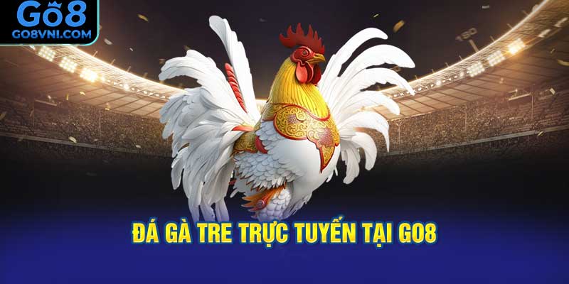 Đá Gà Tre Trực Tuyến tại GO8