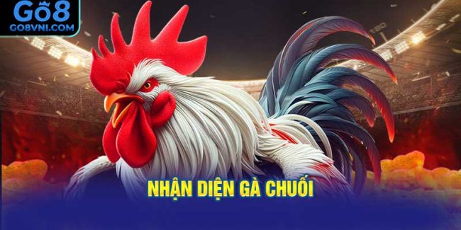 Nhận Diện Gà Chuối