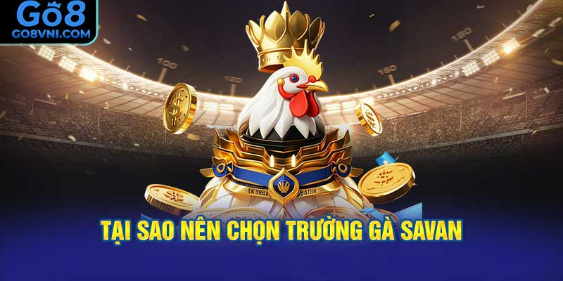 Tại sao nên chọn trường gà Savan