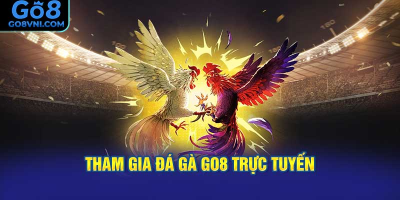 Hướng Dẫn Tham Gia Đá Gà GO8 Trực Tuyến