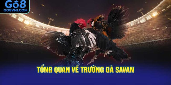 Tổng quan về Trường Gà Savan